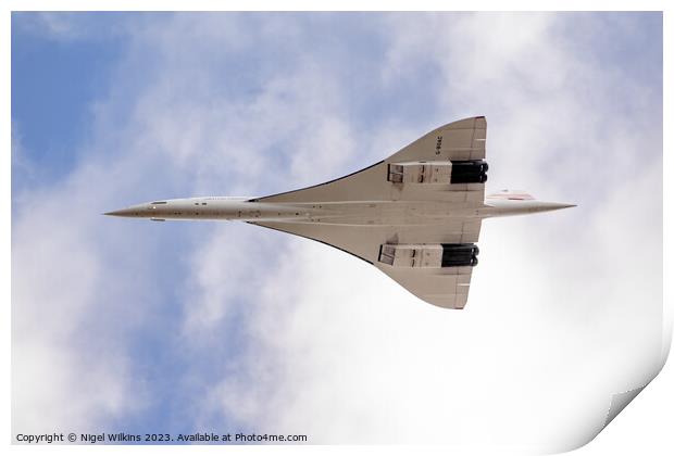 Concorde Print by Nigel Wilkins