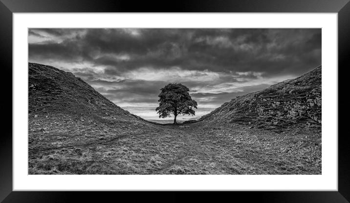 Sycamore Gap Framed Mounted Print by Roger Green