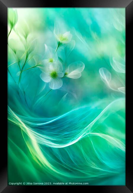 Poetic floral dream  Framed Print by Jitka Saniova