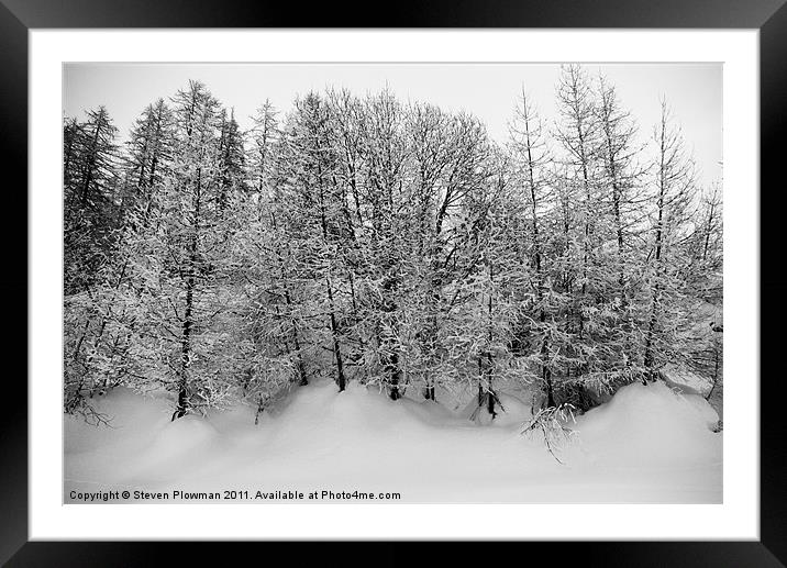 Trees in snow Framed Mounted Print by Steven Plowman