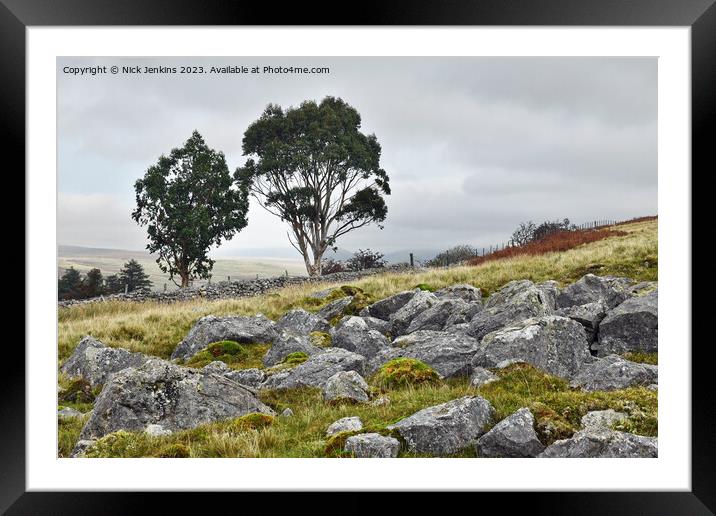 Eucalyptus Tree Road connecting A470 and Penderyn Framed Mounted Print by Nick Jenkins