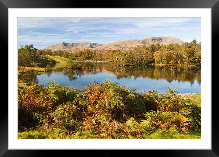 Tarn Howe Framed Mounted Print by david rodgers