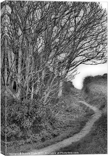 Woodland Path Canvas Print by Nicola Clark
