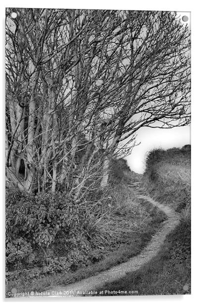 Woodland Path Acrylic by Nicola Clark