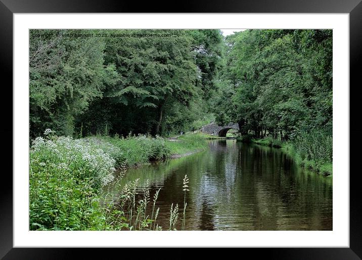 Mon and Brec canal Framed Mounted Print by keith hannant