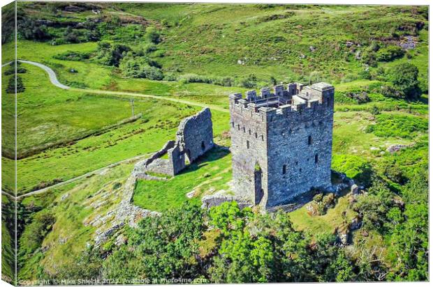 Dolwyddelan Castle Canvas Print by Mike Shields