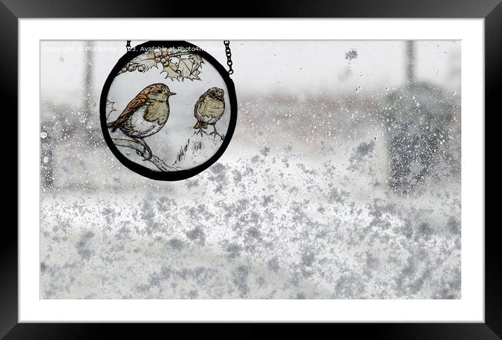 Robin Roundel on a snowy window Framed Mounted Print by Phil Banks
