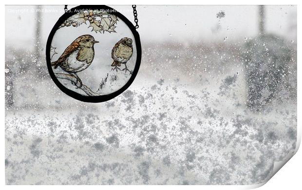 Robin Roundel on a snowy window Print by Phil Banks