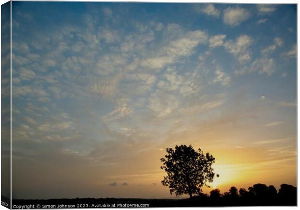 Tree silhouette  Canvas Print by Simon Johnson