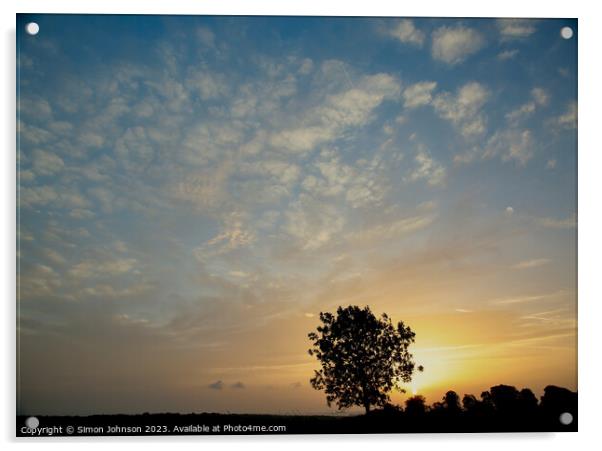 Tree silhouette  Acrylic by Simon Johnson