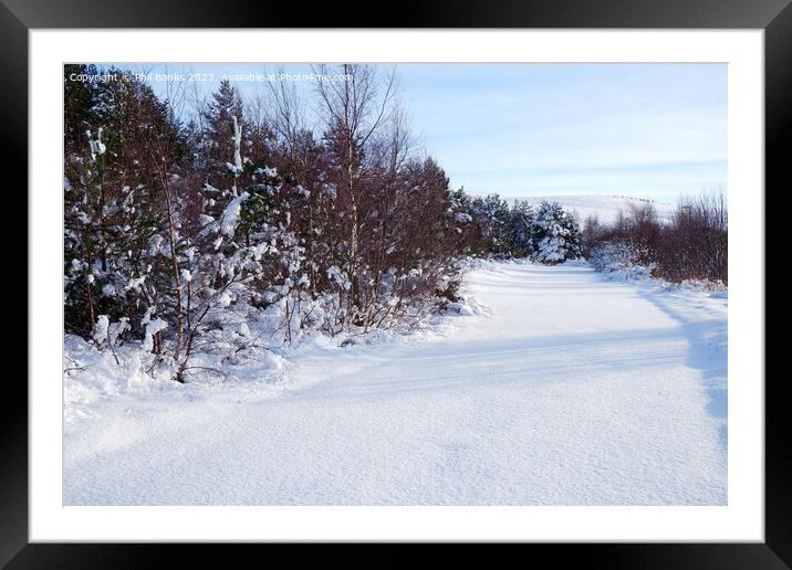 A fresh carpet of snow  Framed Mounted Print by Phil Banks