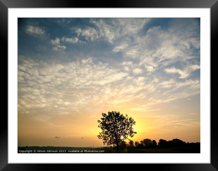 tree silhouette  at sunrise Framed Mounted Print by Simon Johnson