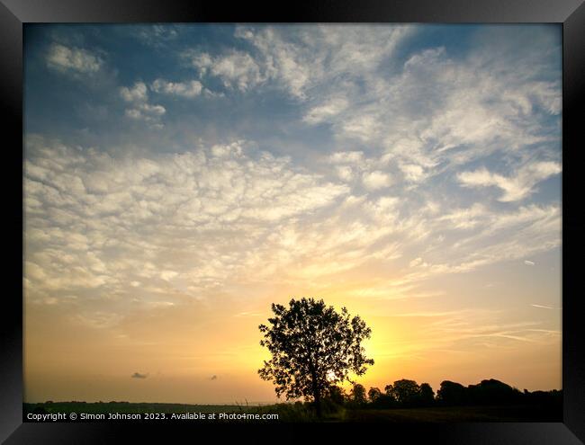 tree silhouette  at sunrise Framed Print by Simon Johnson