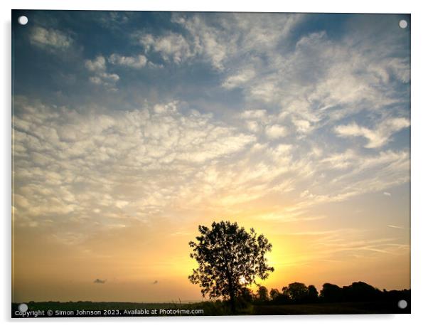  tree silhouette  at sunrise Acrylic by Simon Johnson