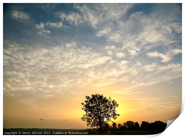  tree silhouette  at sunrise Print by Simon Johnson