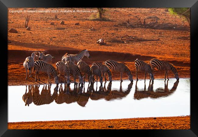 Burchell's Zebra reflections Framed Print by Howard Kennedy