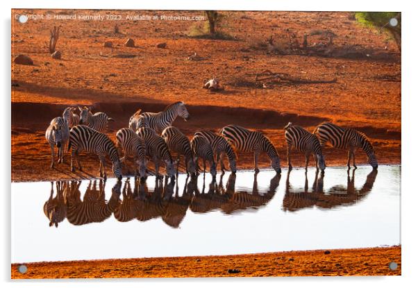 Burchell's Zebra reflections Acrylic by Howard Kennedy