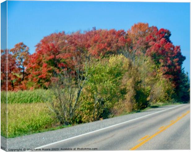 Outdoor road Canvas Print by Stephanie Moore