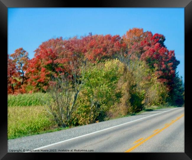 Outdoor road Framed Print by Stephanie Moore