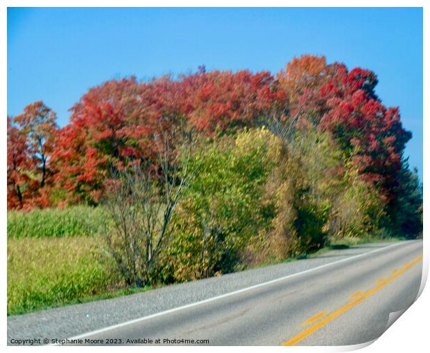 Outdoor road Print by Stephanie Moore