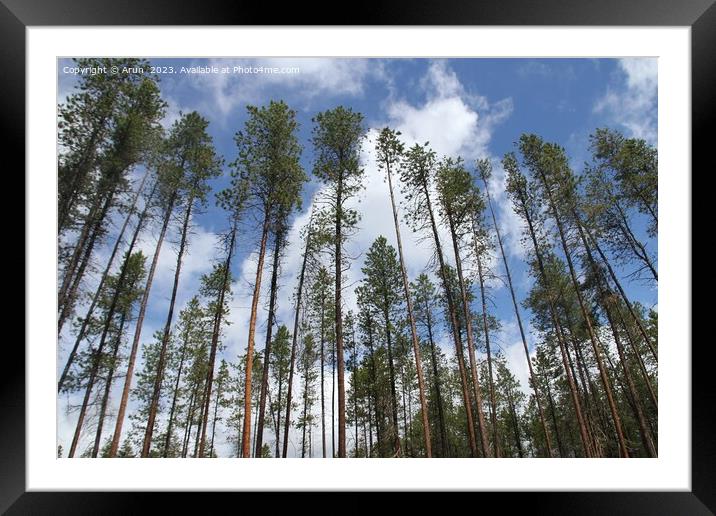 Glacier National Park Montana Framed Mounted Print by Arun 