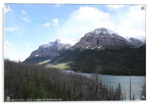 Glacier National Park Montana Acrylic by Arun 