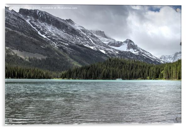 Glacier National Park Montana Acrylic by Arun 