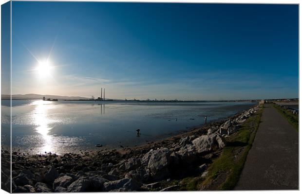 Dublin Bay, Low Tide Canvas Print by Tadhg Maher