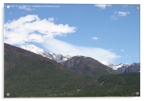 Glacier National Park Montana Acrylic by Arun 