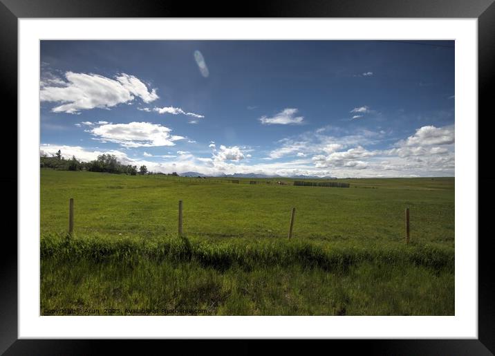 Waterton Lakes, Alberta, Canada Framed Mounted Print by Arun 