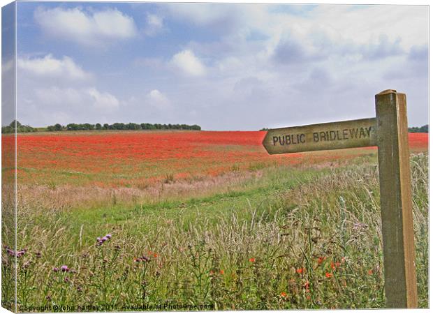 Poppies by the Bridleway - North Norfolk Canvas Print by john hartley