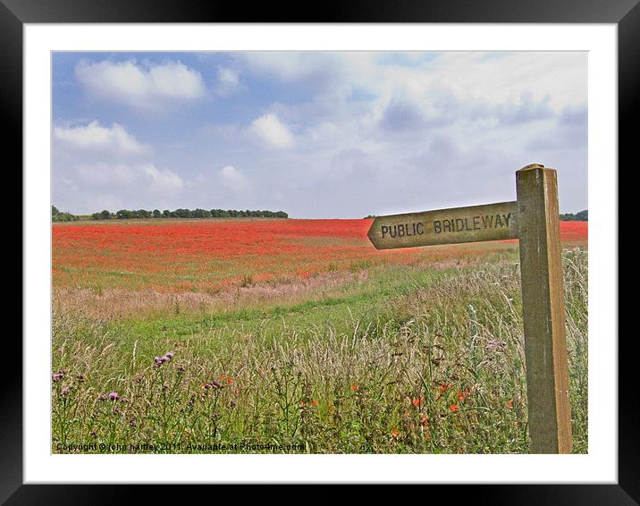 Poppies by the Bridleway - North Norfolk Framed Mounted Print by john hartley
