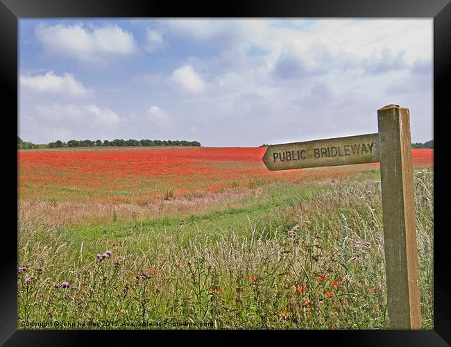 Poppies by the Bridleway - North Norfolk Framed Print by john hartley