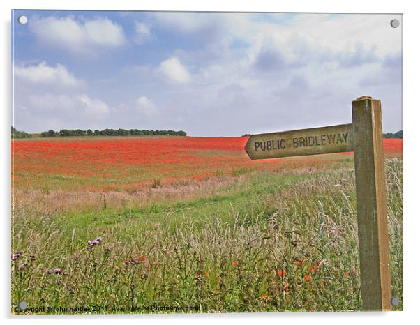Poppies by the Bridleway - North Norfolk Acrylic by john hartley