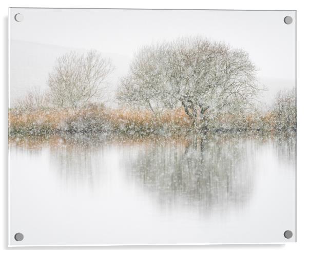 Snowfall and hawthorns Acrylic by Robert Canis