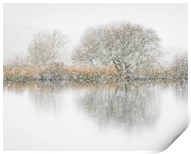 Snowfall and hawthorns Print by Robert Canis