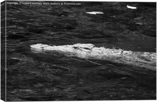 Nile crocodile swimming in Mzima Springs, Kenya Canvas Print by Howard Kennedy