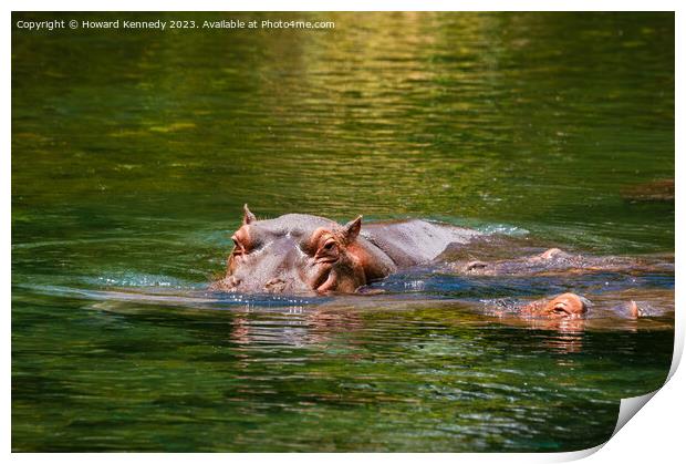 Hippos in Mzima Springs Print by Howard Kennedy