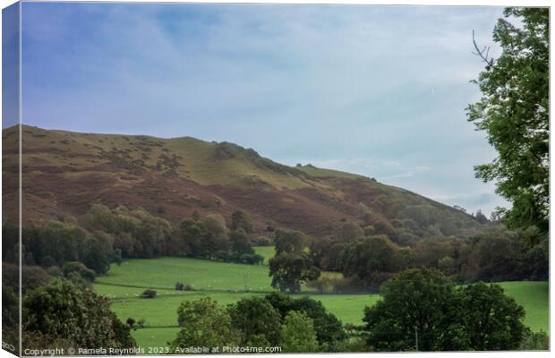A view of Longmynd in Shropshire Canvas Print by Pamela Reynolds