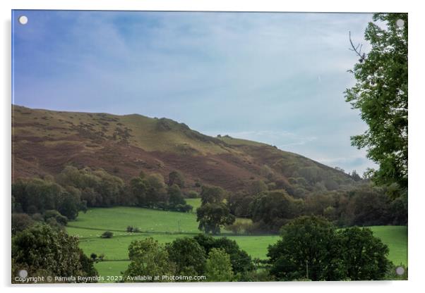 A view of Longmynd in Shropshire Acrylic by Pamela Reynolds