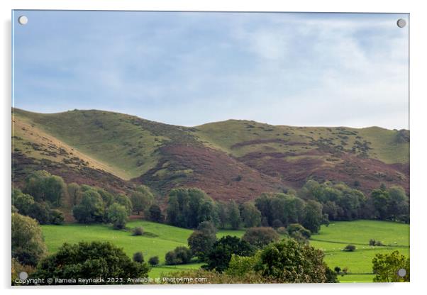 View of Longmynd, Shropshire Acrylic by Pamela Reynolds