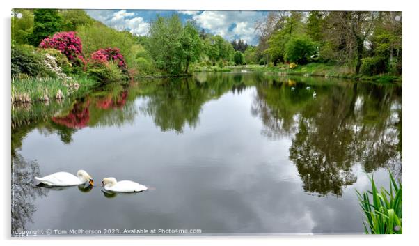 Burgie Arboretum  Acrylic by Tom McPherson