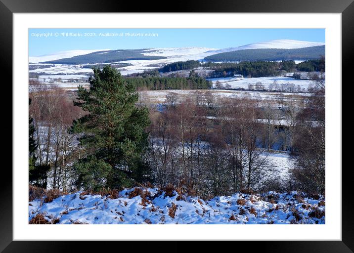 Winter wonderland at Advie Framed Mounted Print by Phil Banks