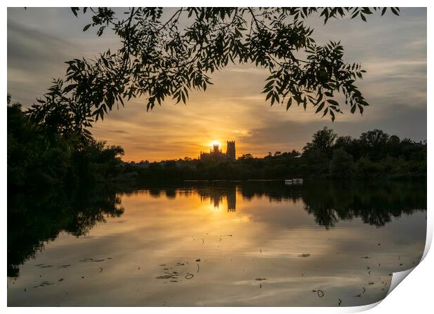 Sunset from Roswell Pits Nature Reserve, looking towards Ely Cat Print by Andrew Sharpe