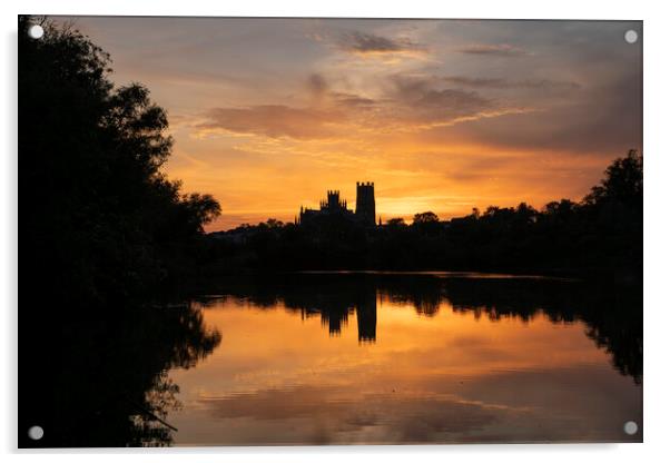 Sunset from Roswell Pits Nature Reserve, looking towards Ely Cat Acrylic by Andrew Sharpe