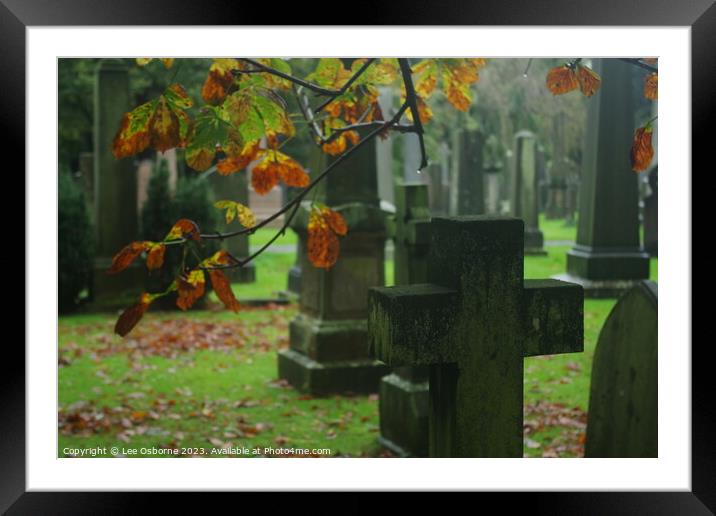 Autumn Graves Framed Mounted Print by Lee Osborne