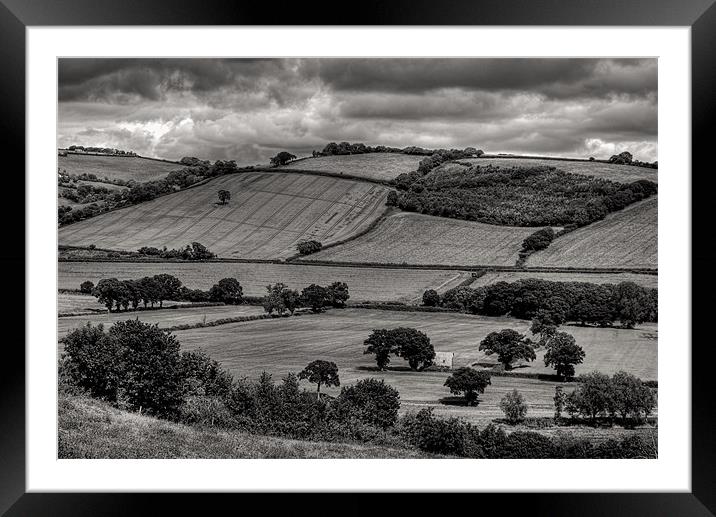 Field Mid Devon Framed Mounted Print by Pete Hemington