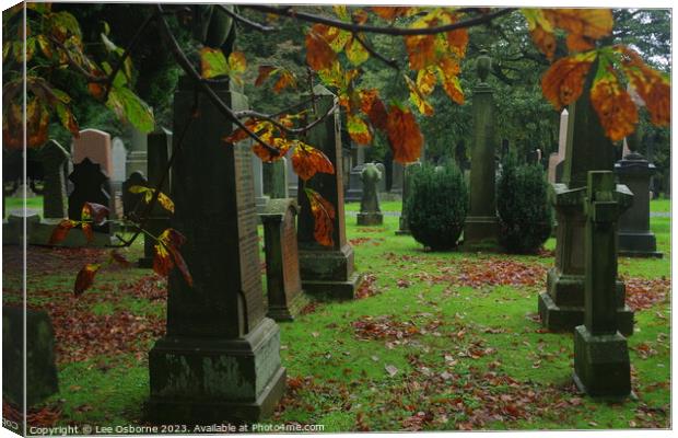 Autumn Graves Canvas Print by Lee Osborne