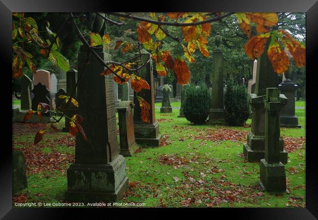 Autumn Graves Framed Print by Lee Osborne