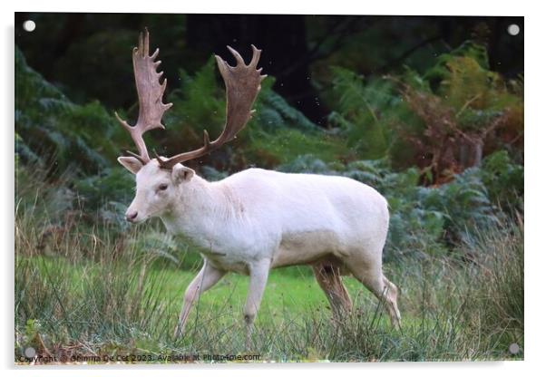 White Fallow Deer Stag Acrylic by Gemma De Cet